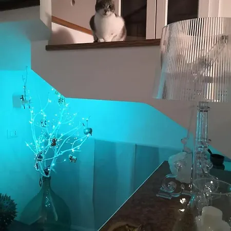 Terrazza Cala בית הארחה 3*