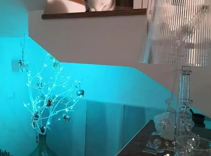 Terrazza Cala Affittacamere 3*